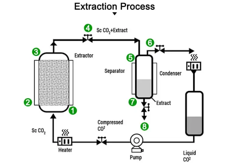 co2 extraction (8) (1).webp co2 extraction (8) (1).webp